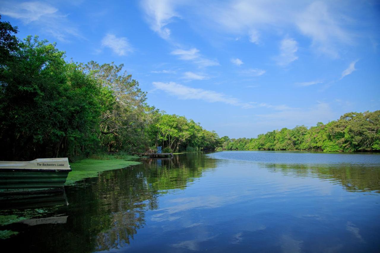 The Backwaters